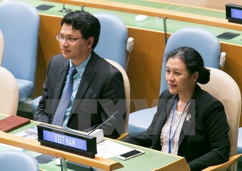 Vietnam calls for international commitment to nuclear disarmament - ảnh 1